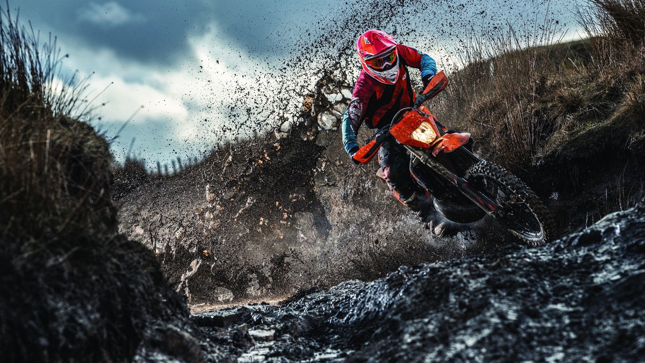 荷兰队锁定欧洲杯正赛席位，射手蝉联荣耀，欧洲杯荷兰队出线了吗